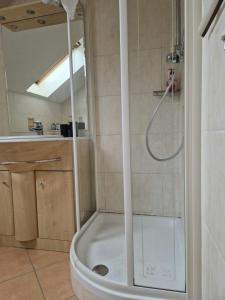 Apartment Traunkai Zauner Blick