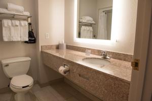 King Suite room in Holiday Inn Express Hotel & Suites Elkhart-South an IHG Hotel