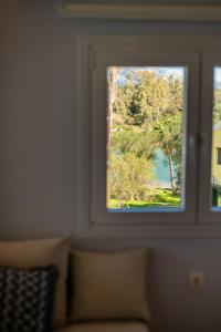 Palm Tree Corfu Apt.