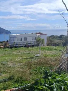 Fox Caravan - Afionas