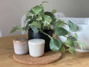 Stunning City Skyline Apartment - Beautiful Design -Free Parking