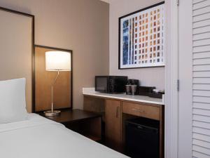 King Room - Non-Smoking room in Embassy Suites Chicago - Downtown