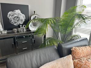 Jahsavvys Nest