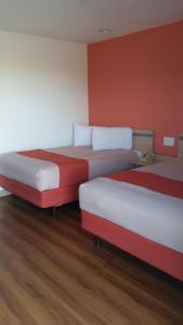 Queen Room with Two Queen Beds - Smoking room in Motel 6 Lost Hills / Buttonwillow Racetrack