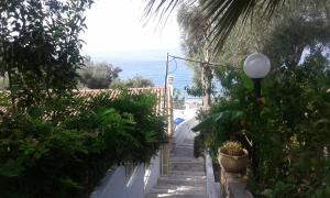 Akis Apartments Kontogialos-Pelekas