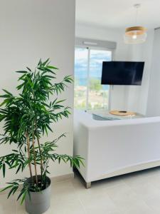 Àtico Espuma - Marenia´s Dream