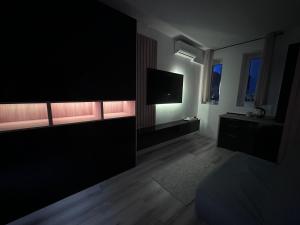 Cozy black 1 bedroom apartment