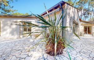 Stunning Home In Les Mathes With Wifi