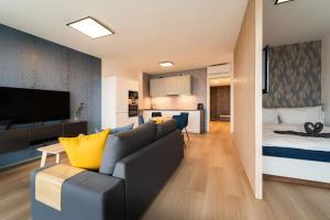 InSady - Studio in Brno-Center