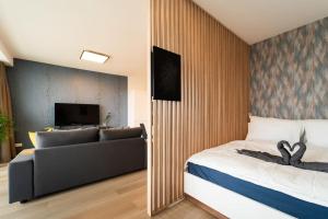 InSady - Studio in Brno-Center