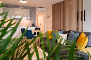 InSady - Studio in Brno-Center