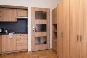Studio apartment in Brno-center