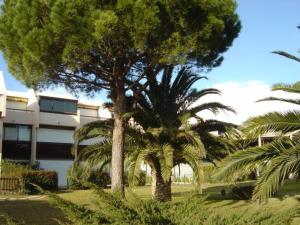 Studio cabine, terrasse au Grau-du-Roi, proche plage et commerces - FR-1-307-96