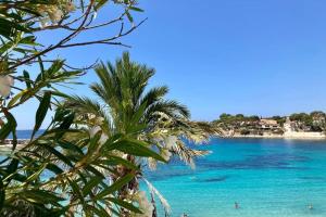 Appartements Appartement central a 100m du port et des plages : Appartement 2 Chambres