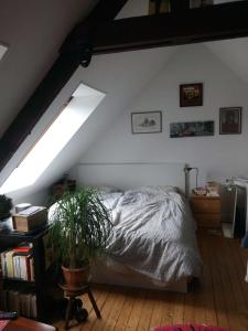 Maisons de vacances Le gite de l-estuaire : photos des chambres