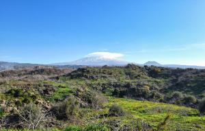 Stunning Home In Linguaglossa With Wifi