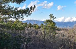 Stunning Home In Linguaglossa With Wifi