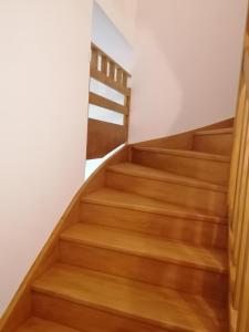 Appartements Ptit sale Quiberon : photos des chambres