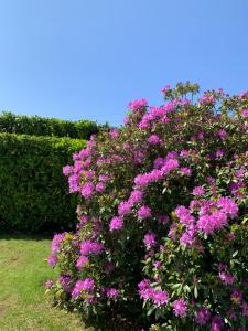 Maisons de vacances Chez Martine & Michel : photos des chambres