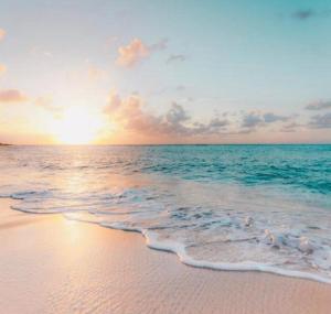 Sardinia SeaBreeze Villa IUN R2178 img30