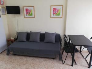 CENTRICO ESTUDIO EN IRIS