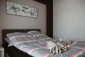 Apartament Giżycko plaża, blisko centrum