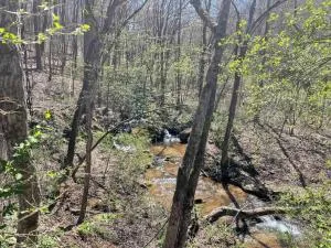 Hilltop Haven w/Creek&Waterfall Dntwn McCaysville - Turtletown