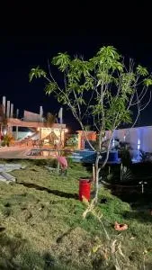 Vereda linda - 圣维罗尼卡