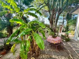 Artist House - Ioppolo Giancaxio