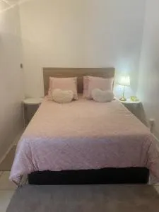 Super T2 Avec piscine Lyon 3ème - 韦尼雪