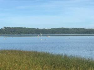 Lac dAureilhan Appartement T2 cabine 6 pers
