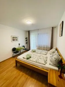 Hotel Shelby Apartments - غاربسن