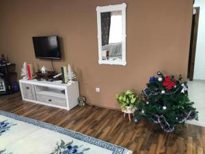 Vila Zivanovic - Topola Oplenac