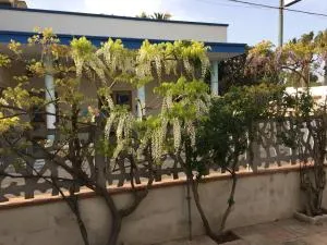 Casa del glicine - Rivabella