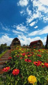 Raturinjani homestay