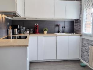 Maisons de vacances Gite spacieux a 700m de la plage avec jardin, terrasses et garage - Malo-les-Bains, Dunkerque - FR-1-510-212 : photos des chambres