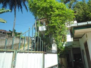 SUPER SUN HOMESTAY