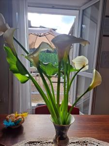 la casa di Luca img22