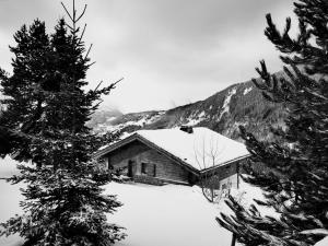 Chalet No 10, le Réconfort, accès skis aux pieds à Saint-François-Longchamp - Valmorel