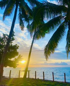 囍潜Side Effects Dive Resort Dauin