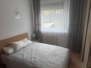 Uroczy apartament dwa pokoje,3 oddzielne spania,las,Skm, plaża, parking