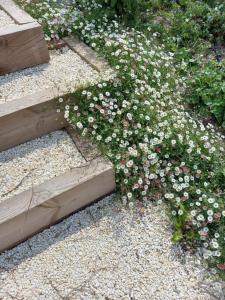 Les Palissières - Chambres dHôtes