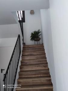 EL REFUGIO DE CARMEN 1 B