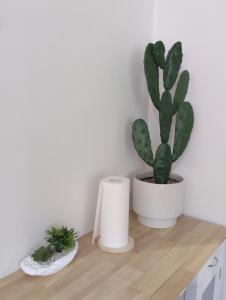 Timeless Allure near Ringwood