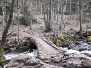 Appartements Vacances Xonrupt-Gerardmer : photos des chambres