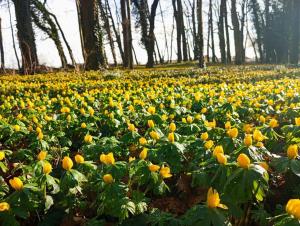 Ferien- und Monteurswohnung KöthenReinsdorf