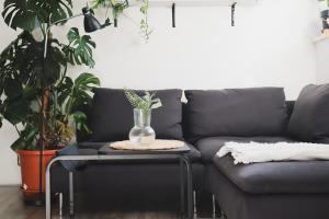 Urban Jungle Apartment 1 - Free Parking 