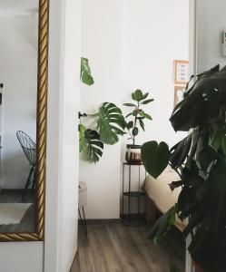 Urban Jungle Apartment 1 - Free Parking 