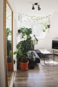 Urban Jungle Apartment 1 - Free Parking 