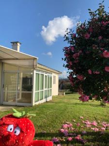 La maison dAbelleira